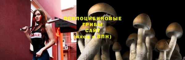Альфа ПВП Кукмор