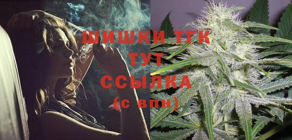 гидропоника Новозыбков