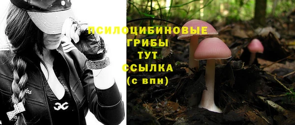 MDMA Premium VHQ Куйбышев