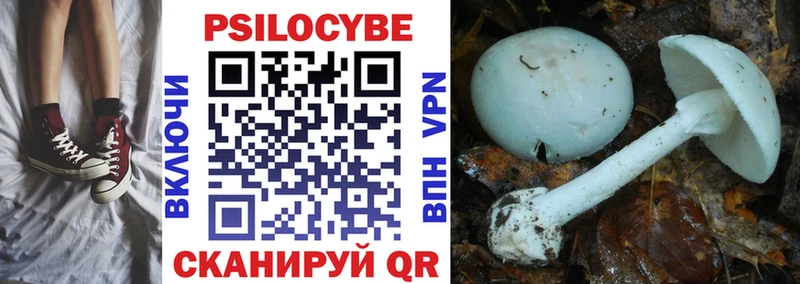 Галлюциногенные грибы GOLDEN TEACHER  где можно купить наркотик  shop как зайти  Маркс 